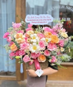 Bó Hoa Tulip Kỵ Sĩ và Ánh Sao