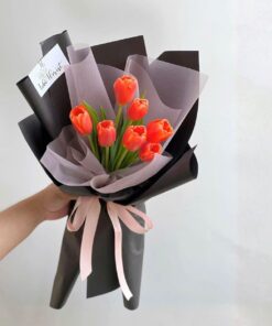 Bó Hoa Tulip Meredith