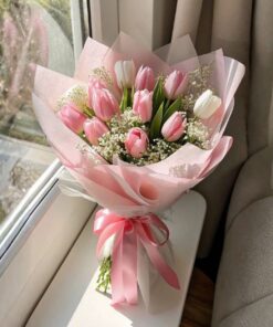 Bó Hoa Tulip Nàng lọ lem