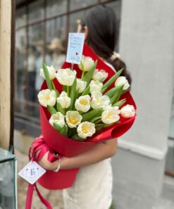 Bó Hoa Tulip Ngày ấy