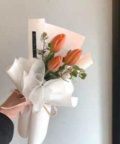 Bó Hoa Tulip Người đầu tiên