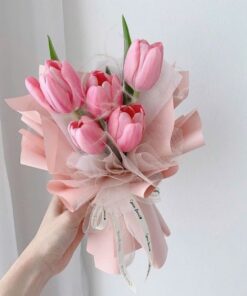 Bó Hoa Tulip Tuyết yêu thương