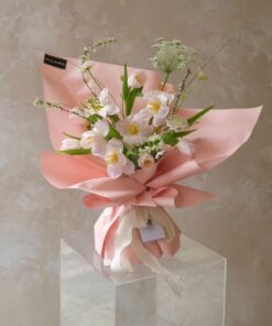 Bó Hoa Tulip Why not