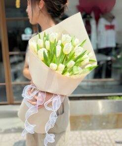 Bó Hoa Tulip Winifred