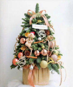 Cây Thông Noel Mini Cady