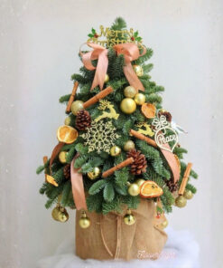 Cây Thông Noel Mini