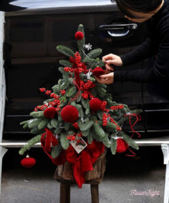 Cây Thông Noel Tươi Celeste