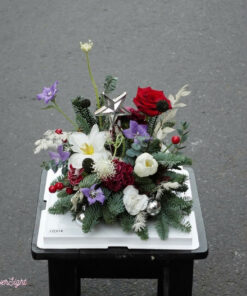 Cây Thông Noel Tươi Chiara