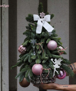 Cây Thông Noel Tươi Clarence