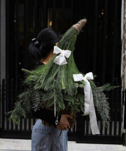 Cây Thông Noel Tươi Clarice