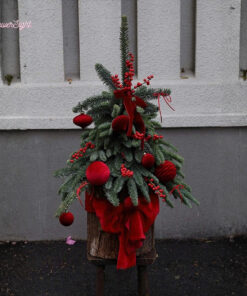 Cây Thông Noel Tươi Davida