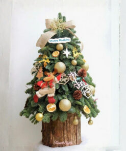 Cây Thông Noel Tươi Good Life
