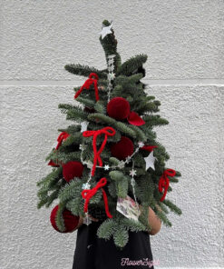 Cây Thông Noel Tươi Josephine