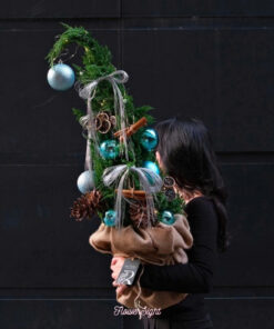 Cây Thông Noel Tươi Malakai