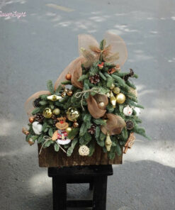 Cây Thông Noel Nimai