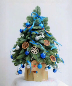 Cây Thông Noel Tươi Outside