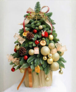 Cây Thông Noel Tươi Paradise