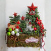 Supernova Love Cây Thông Noel Tươi Supernova Love