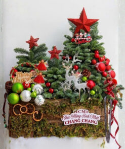 Cây Thông Noel Tươi Supernova Love