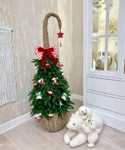 Cây thông tuơi Carrol