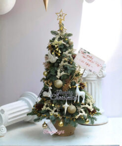 Cây Thông Noel Tươi Donata