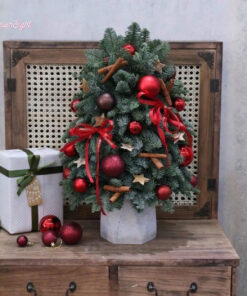 Cây Thông Noel Tươi Evangeline