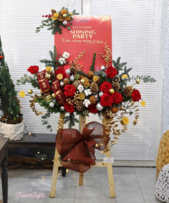 Cây thông tươi Lucia