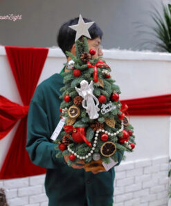 Cây thông tươi Lumi