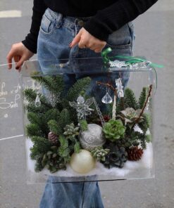 Hộp Noel Mica Frank