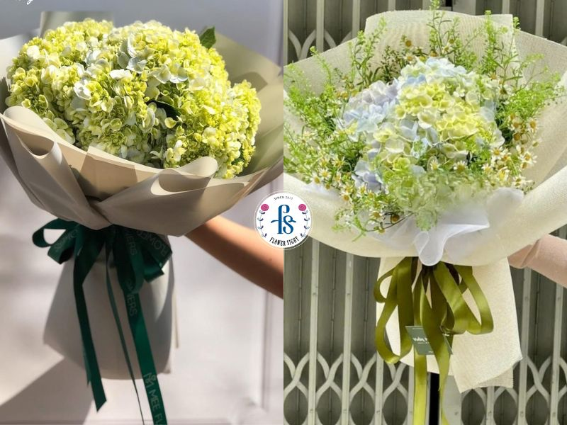 Bó hoa cẩm tú cầu thay lời xin lỗi