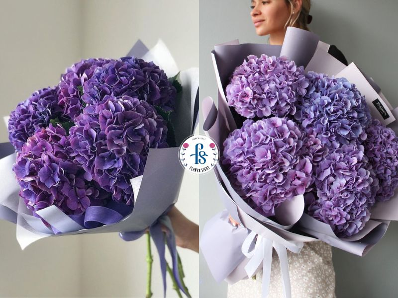 Bó hoa cẩm tú cầu tím