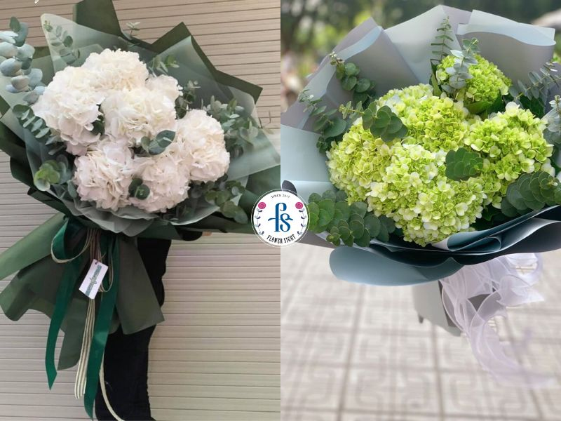 Bó hoa cẩm tú cầu tặng bạn bè