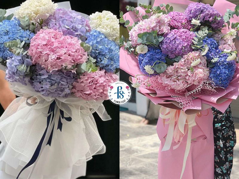 Bó hoa cẩm tú cầu tặng cha mẹ