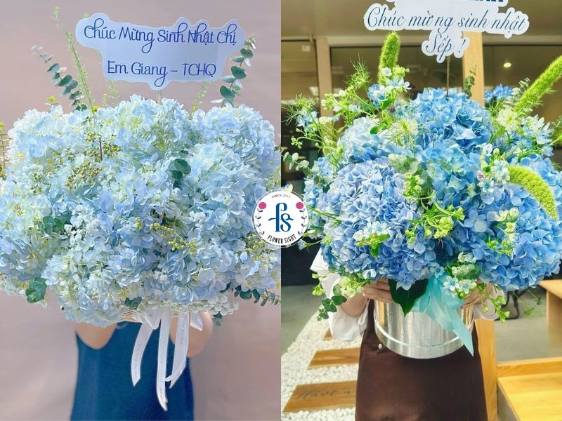 Bó hoa cẩm tú cầu tặng sinh nhật