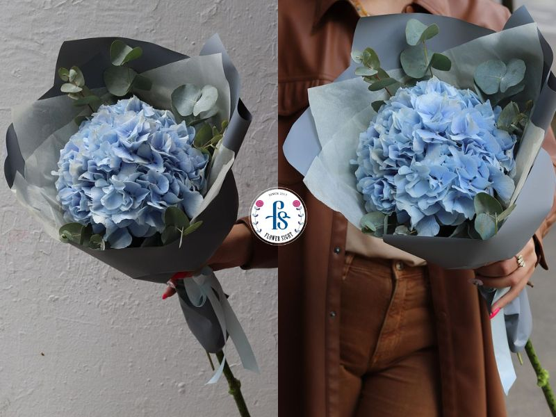 Bó hoa cẩm tú cầu tặng thầy cô, cấp trên