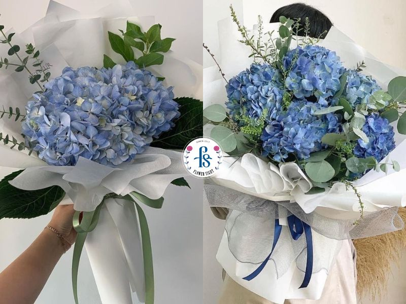 Bó hoa cẩm tú cầu xanh dương