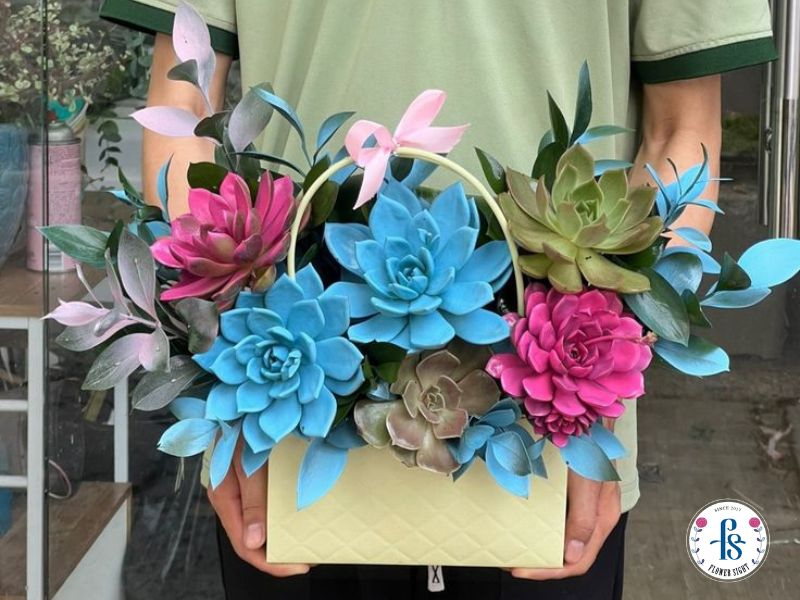 Nên đặt giỏ hoa sen đá ở nơi có ánh sáng mạnh và hạn chế tưới nước