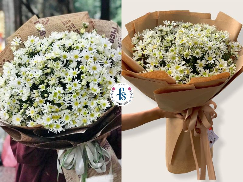 Hoa cúc họa mi dạng bó