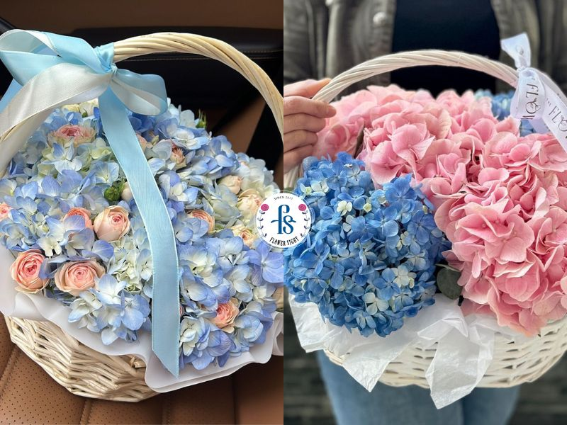 Giỏ hoa cẩm tú cầu 