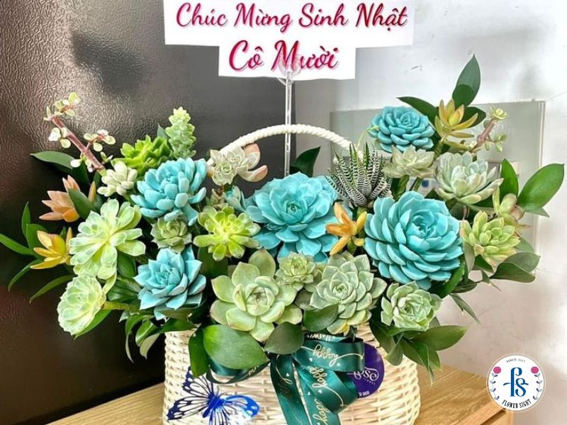 Giỏ sen đá tặng sinh nhật