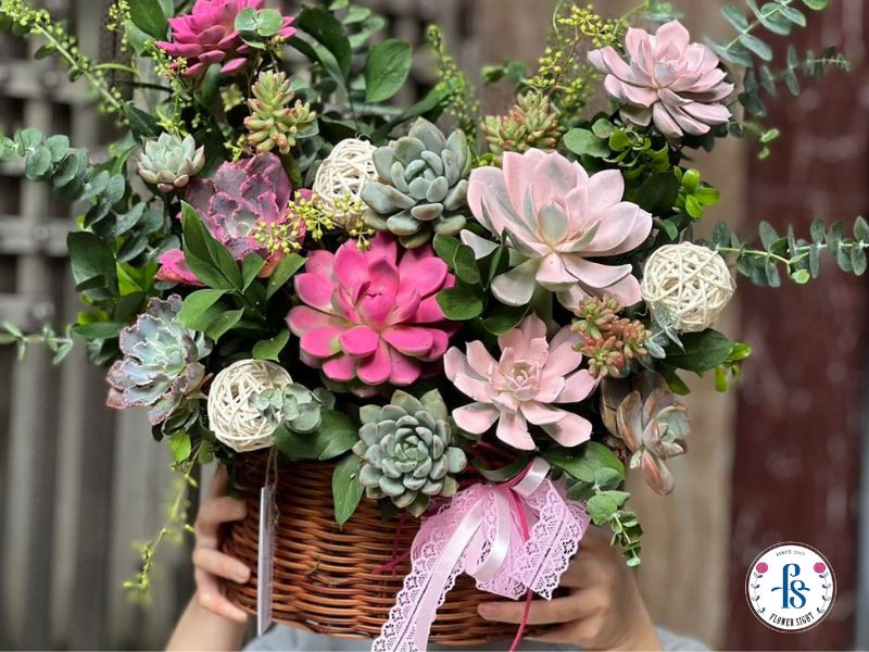 Giỏ sen đá mix nhiều loại