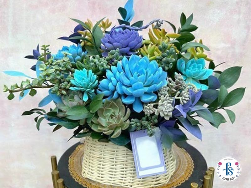 Giỏ hoa sen đá tone xanh dương