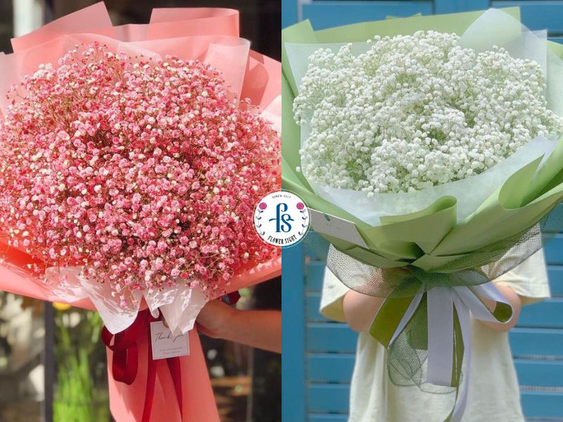 Bó hoa baby tặng người thân