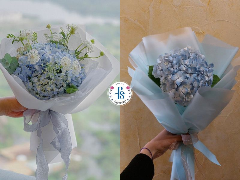 Bó hoa cẩm tú cầu nhỏ