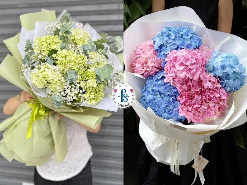 Hoa cẩm tú cầu dạng bó