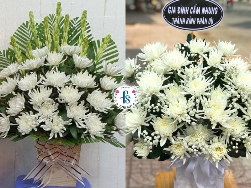 Hoa cúc trắng cho tang lễ