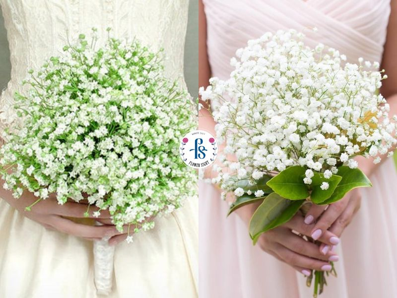 Hoa cưới cầm tay cô dâu Baby trắng