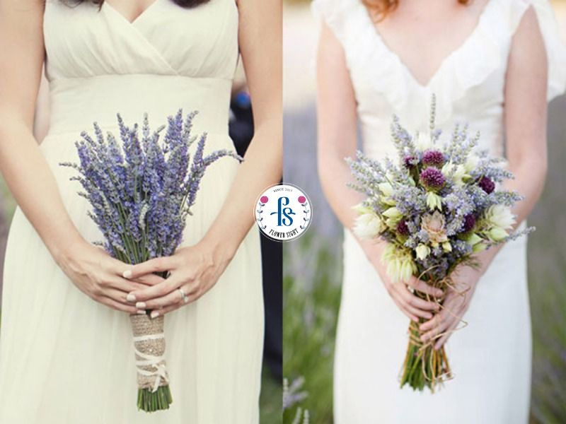 Hoa oải hương cầm tay cô dâu