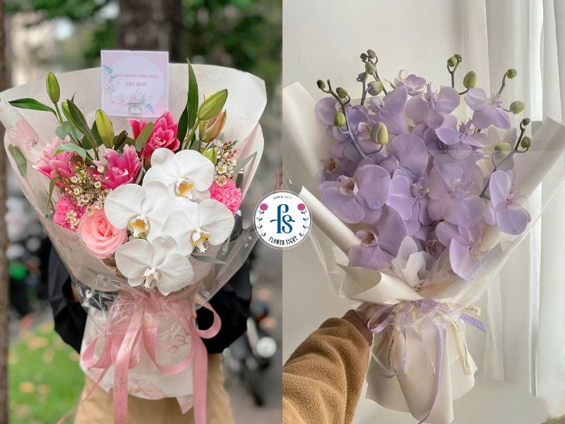 Hoa lan hồ điệp dạng bó