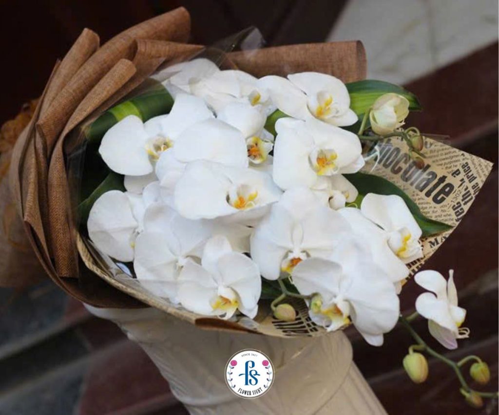 Lan Hồ Điệp Trắng tặng sinh nhật